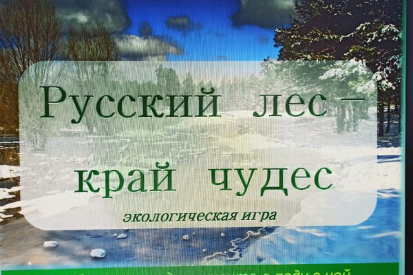 «Русский лес-край чудес»